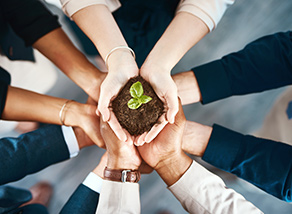 百分百可持續計劃